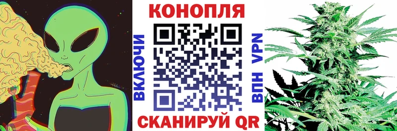 Конопля Bruce Banner  Купить  Воткинск 